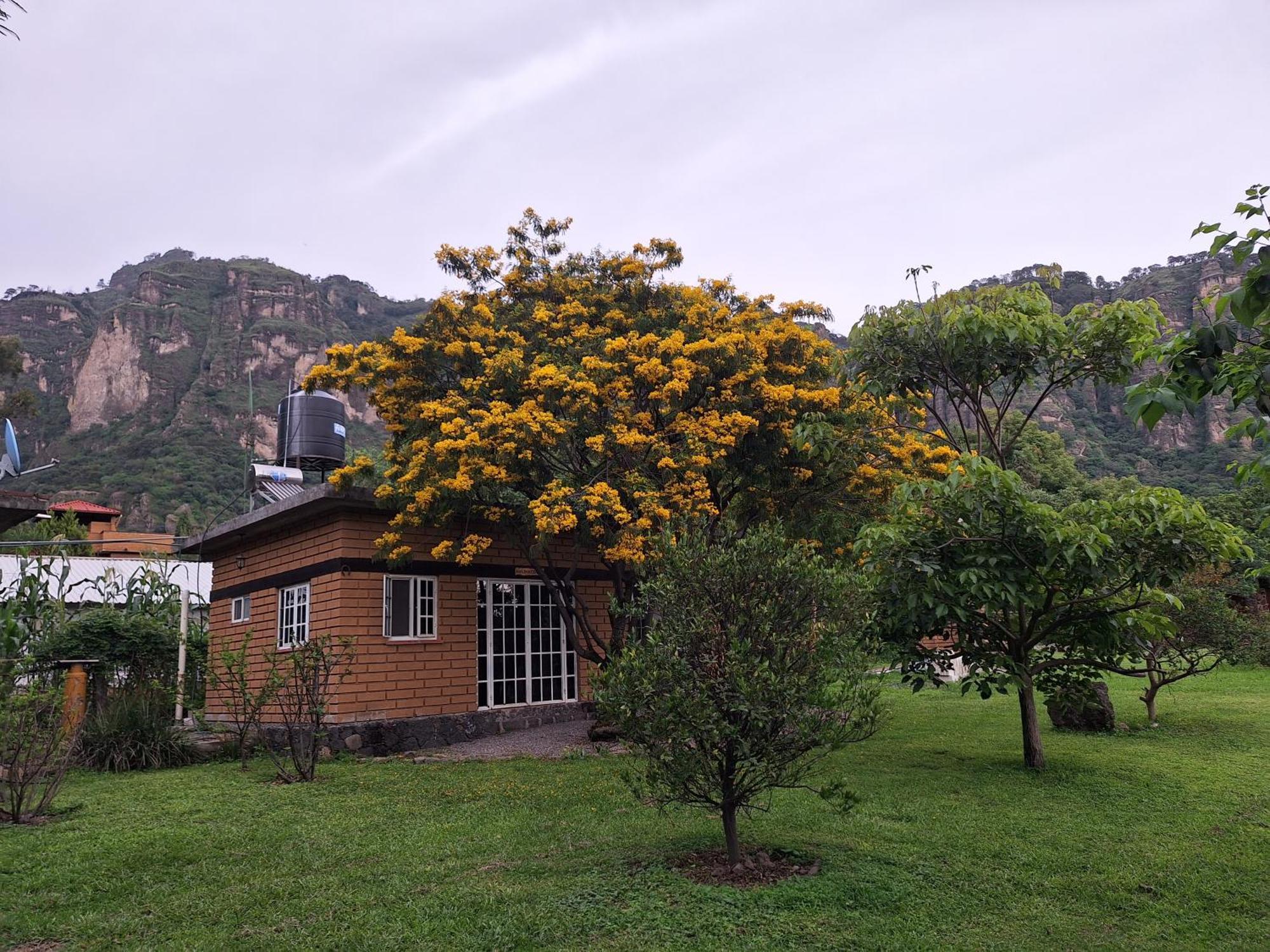 Posada Meztitla Tepoztlán Eksteriør bilde